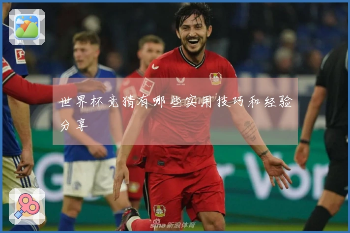 世界杯竞猜有哪些实用技巧和经验分享