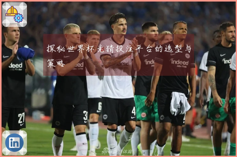 探秘世界杯竞猜投注平台的选型与策略