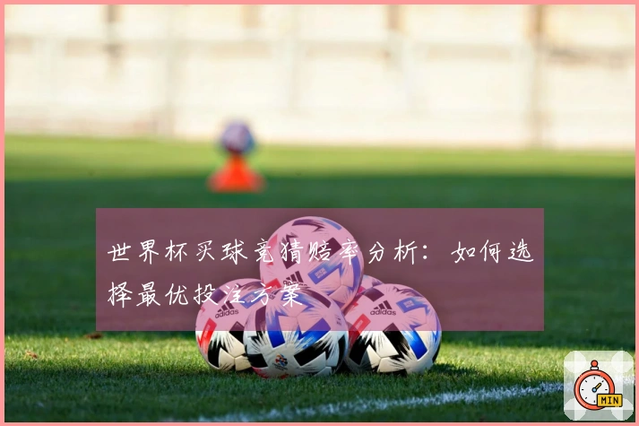 世界杯买球竞猜赔率分析：如何选择最优投注方案
