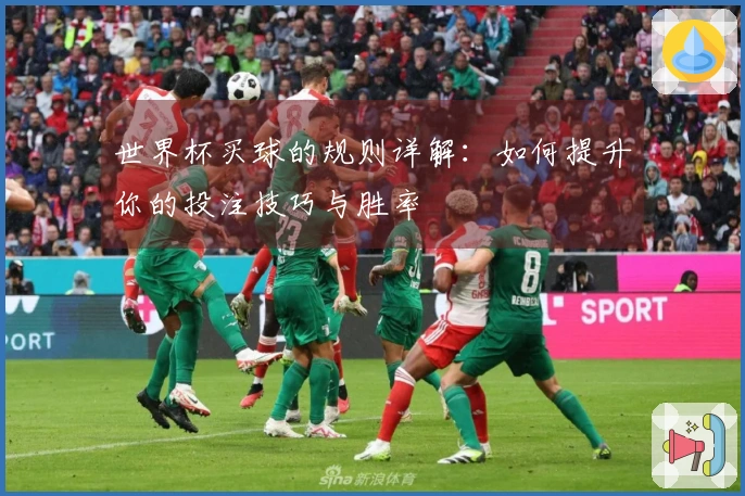 世界杯买球的规则详解：如何提升你的投注技巧与胜率