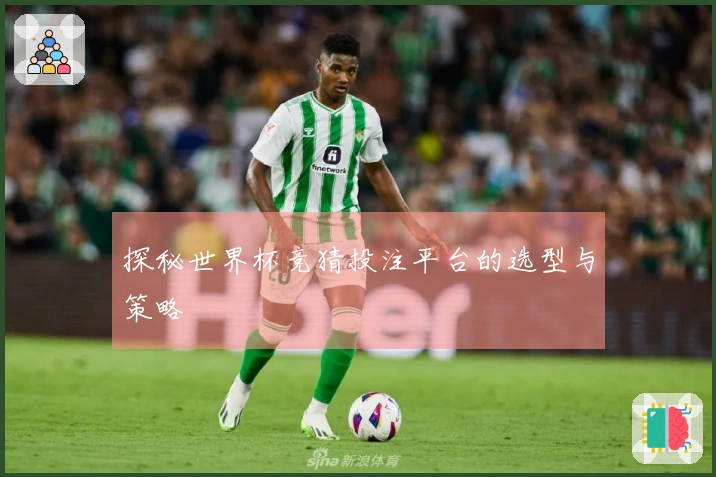 探秘世界杯竞猜投注平台的选型与策略