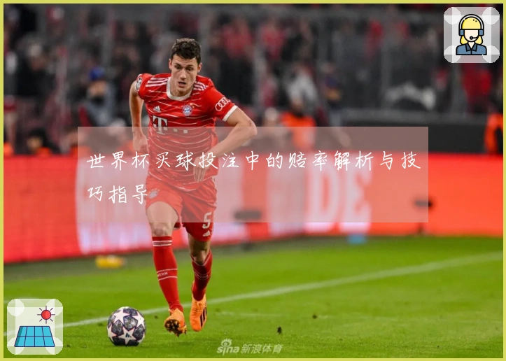 世界杯买球投注中的赔率解析与技巧指导